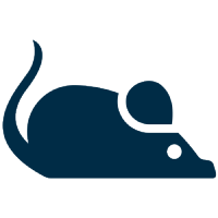 RODENT DROPPINGS