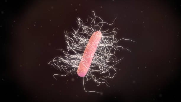 C.Diff Cleanup in Fort Myers, FL: Why Professional Intervention Matters